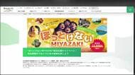 12月から宮崎市の宿泊施設　最大3000円割引キャンペーン