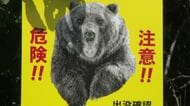  ヒグマが畑のトウモロコシ約100本をたいらげる―付近に足跡も確認され、市が警戒呼びかけ―箱わなの設置も検討中＜北海道函館市＞