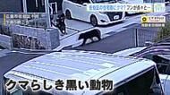 「クマが出ると顕著に売れる」クマ除けグッズ　ホームセンターは品数増やして対応　広島市で目撃情報相次ぐ