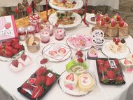 東三河の観光協会が連携…イチゴを売りにしたスタンプラリー開催…