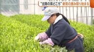 『北限の茶どころ』新潟・村上市で“新茶”の摘み取り開始　甘み・渋みのバランス◎「若々しい香り楽しんで」