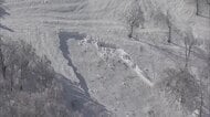 新潟長野県境のスキー場で雪崩　4人がケガ　雪崩発生起点が上空からはっきり・・・
