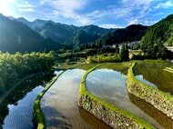 菊池川流域の米づくりを歴史文化・自然環境・食味から科学的に評価する共同研究を開始