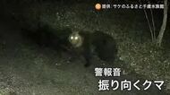 サケ養殖場にクマの姿が…監視カメラが捉える“けたたましい警報音”に振り向きその場を立ち去る_約100メートル離れた場所は住宅地〈北海道千歳市〉