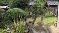「庭先でクマに襲われた」93歳女性けが　顔を右足骨折 以前も1頭駆除