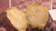 ホクホク!焼き芋専門店 「のあの方舟」<岩手・盛岡市>