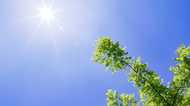 「2100年 未来の天気予報」に衝撃…東京の気温は44℃になる!?