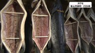 新巻鮭 天日干し