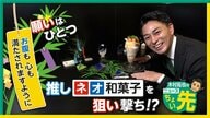 みたらし団子×かつお節、マカロン×あんテリーヌ、かき氷×大豆あん…　「伝統」と「新スタイル」を融合した“ネオ和菓子”に大注目！