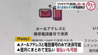 お得商品を買ったはずが代金の二重支払いに フリマアプリを利用した詐欺手口の全て