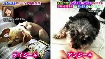 Gacktが明かす脱退騒動の裏側と卒業式サプライズに隠された思い マレーシアの大豪邸と私生活も公開