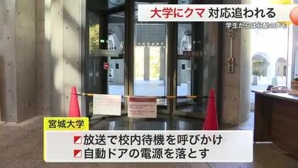 「怖い」宮城大学にクマ出没 学生校内待機　芋煮会場は「熊キャンセル」で打撃　客足３分の１