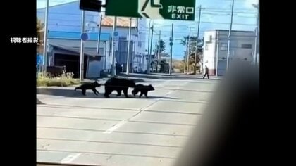 【クマ被害】幼稚園バス目の前に親子3頭…ゴミ出し中に高齢夫婦が遭遇しけが　清掃作業中に襲われ死亡の男性は「家族大事に」　死者数最多9人に…政府が警戒呼びかけ