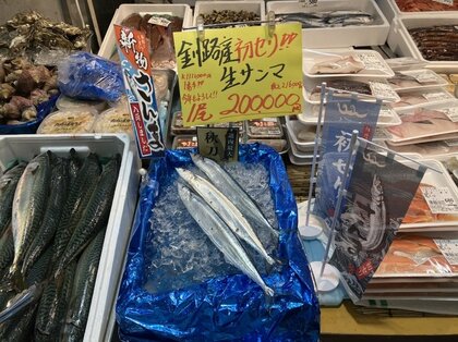 【速報】生サンマ1匹21万6000円で販売！サンマ札幌初競りは1キロ111万2000円の過去最高値―流し網漁で釧路漁港で初水揚げ…北海道札幌市中央卸売市場