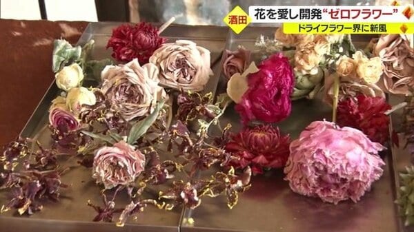 生花本来の色鮮やかさをそのままに…5年の時を経て“ゼロフラワー”完成