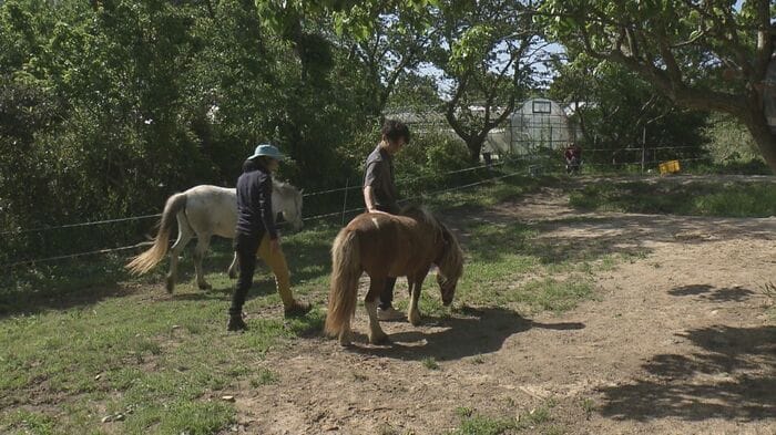ロープを通して馬と心を通わせる