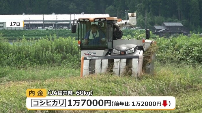JAが集荷の際に農家に支払う概算金が大幅下落