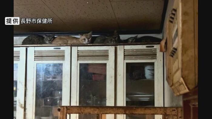 住宅で「多頭飼育」 提供:長野市保健所