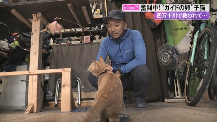 チャビと遊ぶオーナーの高倉剛さん