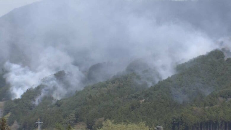 4日経つも火の勢い衰えず…岩手・大槌町の山林火災　730ha焼失、3000人超に避難指示｜FNNプライムオンライン
