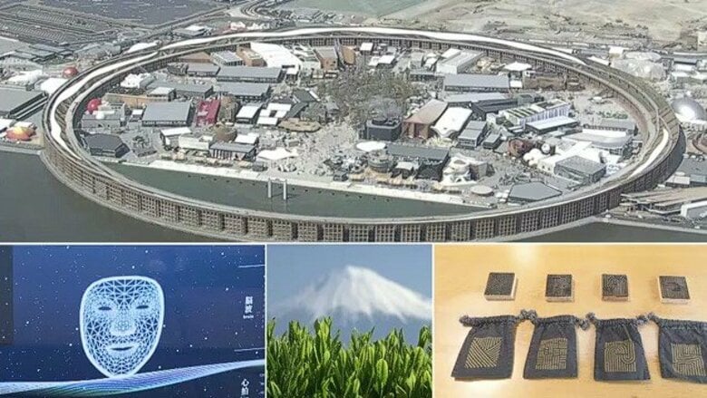 脳波や表情から気分にあったお茶をAIが提案　大阪・関西万博で静岡茶をPRへ　本来は捨てられてしまう茶葉を使った染物も｜FNNプライムオンライン
