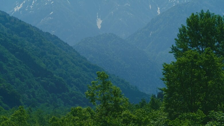 富山県上市町の小又川で遺体発見 「登山者が戻らない」通報から捜索開始｜FNNプライムオンライン