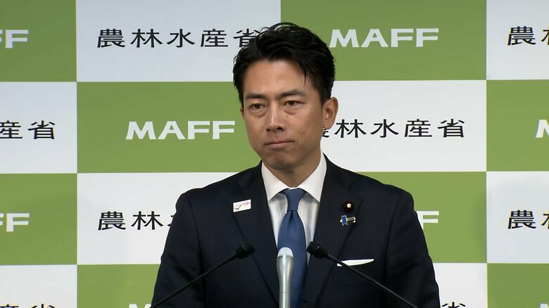 小泉氏　総裁選めぐり陣営による称賛投稿要請で陳謝　配信動画へのコメント呼びかけ「知らなかったこととはいえ申し訳なく思う」｜FNNプライムオンライン