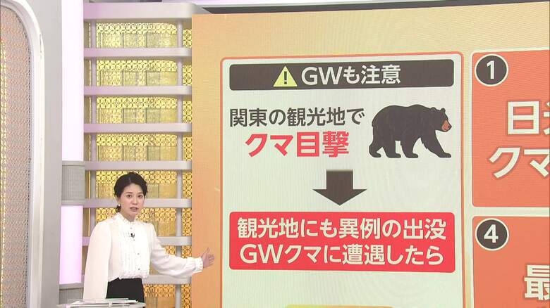 観光地にもクマ出没相次ぐ　ゴールデンウィーク中に遭遇したらどうする？対策を解説｜FNNプライムオンライン