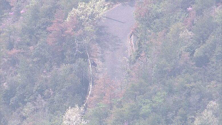 山中で遺体で発見された24歳女性の死因は「窒息」　首をつって死亡した知人男性の車内からヒモ発見　岡山・備前市｜FNNプライムオンライン