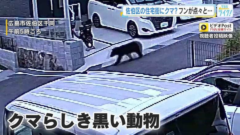 「クマが出ると顕著に売れる」クマ除けグッズ　ホームセンターは品数増やして対応　広島市で目撃情報相次ぐ｜FNNプライムオンライン