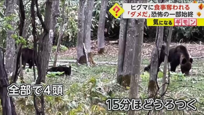 （FNN投稿サイト「ビデオPost」葉田ルコHadaRuko）