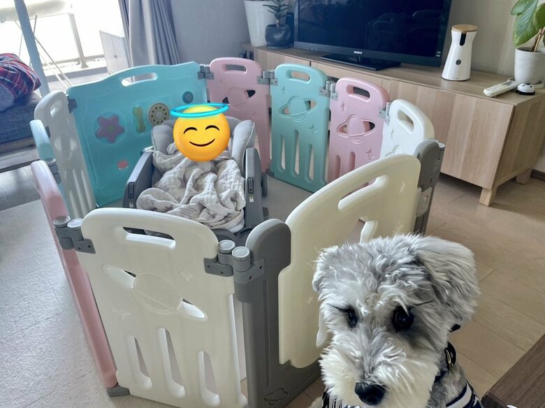 微妙な関係だった頃（提供：こんぶさん）