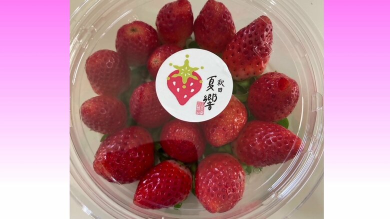 ブランド化を進めている夏イチゴ『秋田夏響』