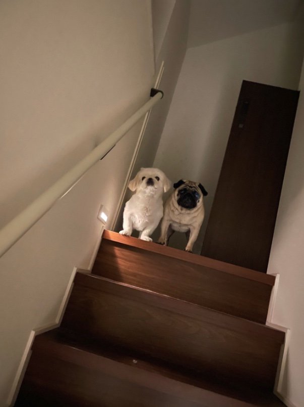 提供：よこむすびさん