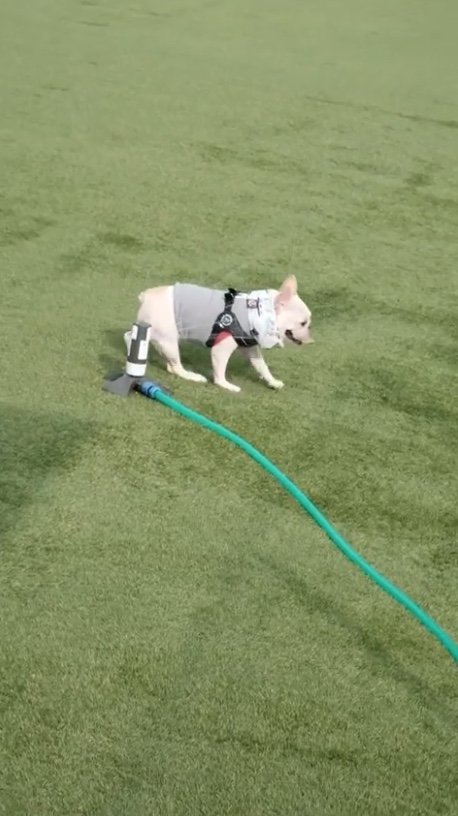 提供：むぎさん