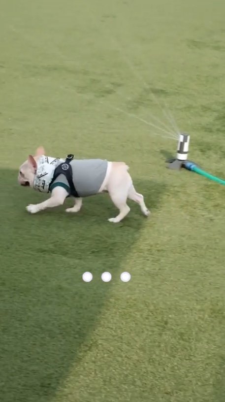 提供：むぎさん