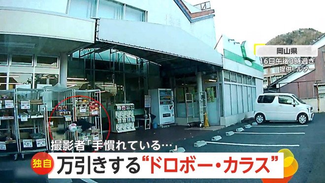 カラスが店頭のカップ麺をくわえて飛び立つ瞬間（16日午後3時過ぎ、岡山県のスーパーマーケット）⑥