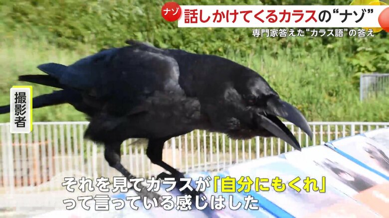 撮影者はご飯が目的ではないかと推測（提供：小樽総合デザイン事務局）