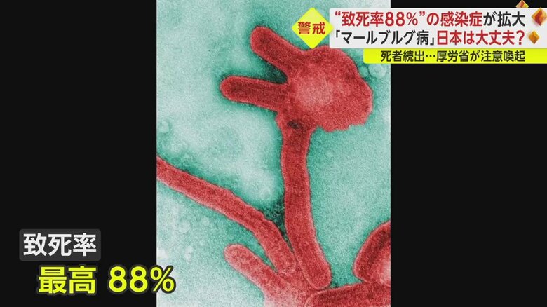 マールブルグ病の致死率は最高で88％と極めて高い