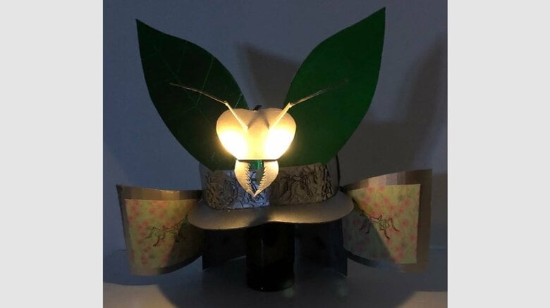 娘さんのお気に入り「ハキリアリの兜」