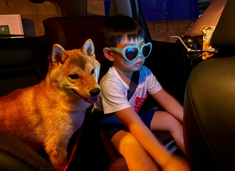 提供：柴犬勇者むぎさん