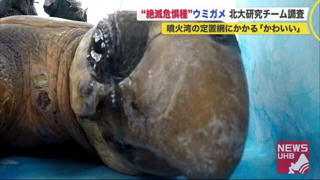 あの