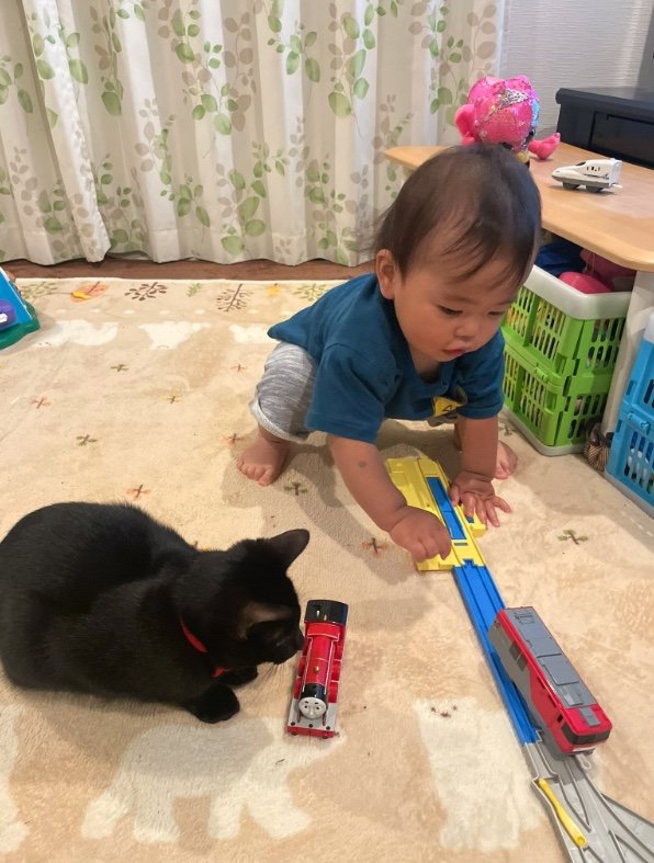 提供：ゴンゾウR4さん