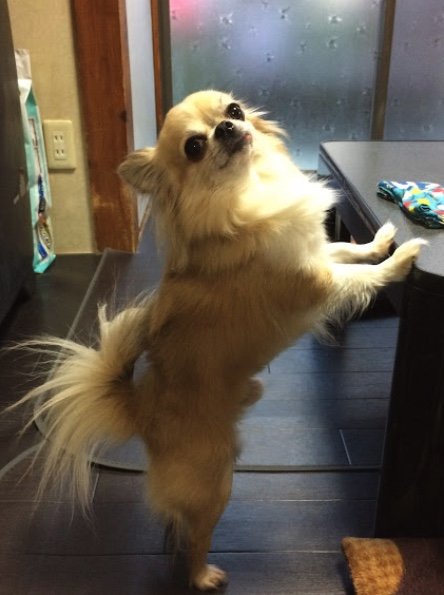 提供：榊 柾人さん