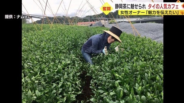 夢の実現に向けた研修