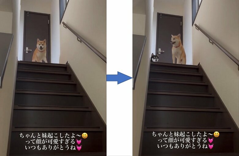 豆ちゃん「起こしたよー」　後ろから小豆ちゃんも登場