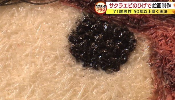 サクラエビの目や殻も画材に