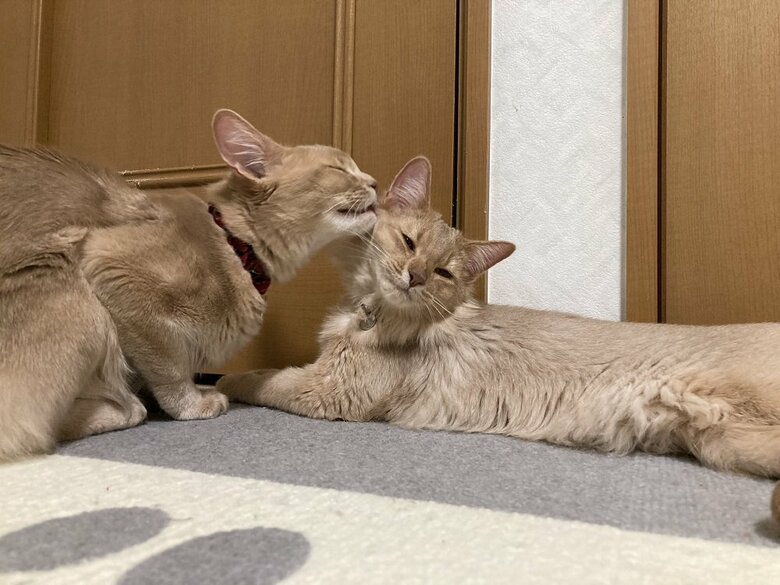 大好きな様子が伝わってくる