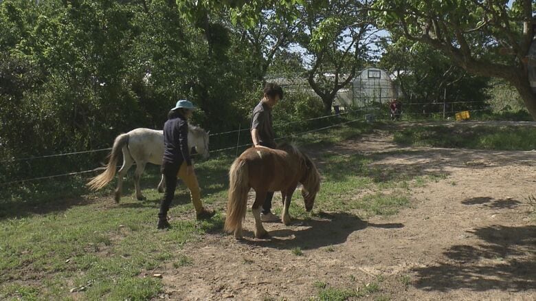 ロープを通して馬と心を通わせる