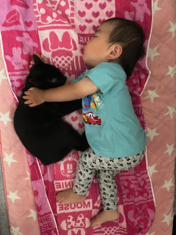 提供：ゴンゾウR4さん